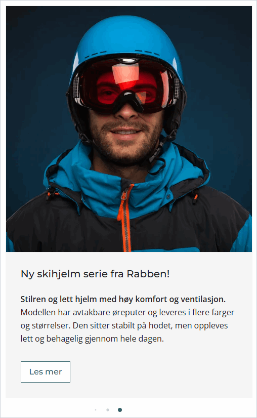 Skihjelm.png