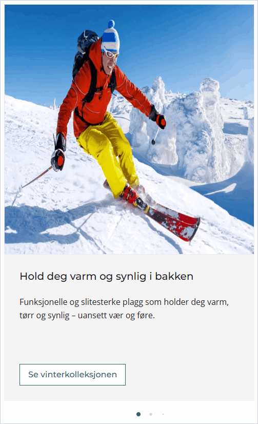 Vinterbekledning.png