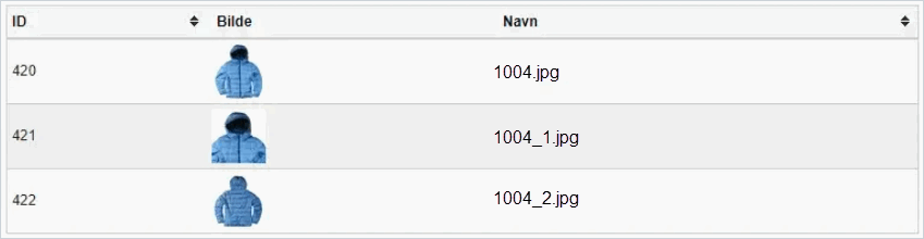 Bildeimportnavn.png Bildeimportnavn.png